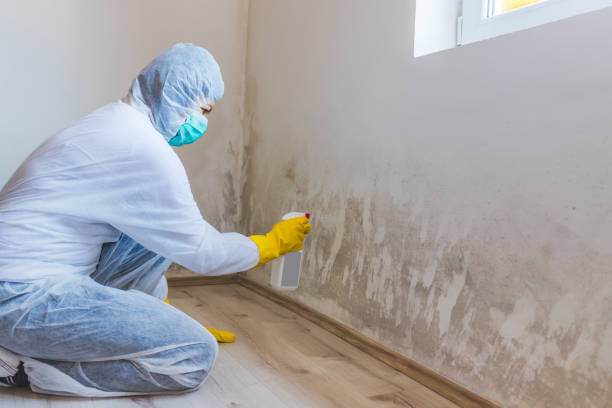 Licensed Bathroom Mold Removal service in Weehawken, NJ - Mold Remediation HQ