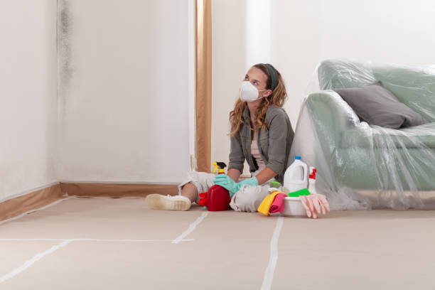 Reliable Bathroom Mold Removal contractor in Weehawken, NJ by Mold Remediation HQ
